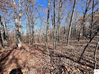 Lot 71 Hiwatha Dr Ln, Rocky Mount, MO 65072