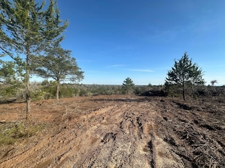 0 Sandy Fork Rd Unit 21264221, Harwood, TX 78632