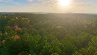 Tract 2 Dennis Creek Rd, Other, GA 00000
