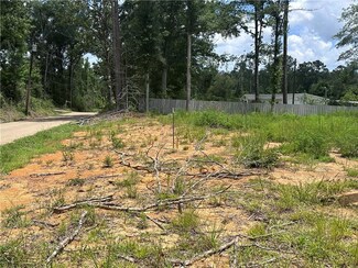 63202 Hill Tract 1 St, Roseland, LA 70456