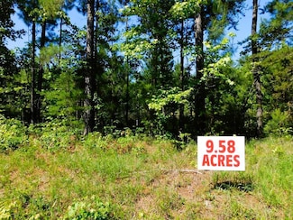 9.58 Fowler Trail, South Boston, VA 24592