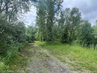 5044 Lobdell Rd, Fenton, MI 48430
