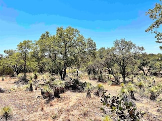 Lot 322 Tbd W Castlebriar Dr, Granite Shoals, TX 78654