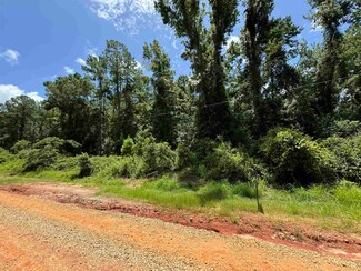 0 Brangus Dr Unit 375233, Tallahassee, FL 32311