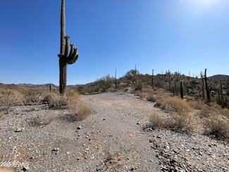 3246 N Silver Tip Trail Unit 2, Queen Valley, AZ 85118