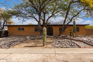 2111 S Tree Moss Ave, Tucson, AZ 85710