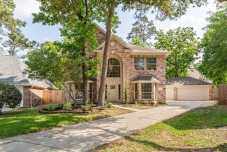 14 Sweet Birch Place, Spring, TX 77382
