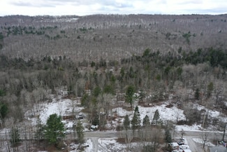 0 Steam Mill Rd, Hector, NY 14869