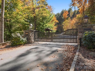 78 Woodland Aster Way Unit 69, Asheville, NC 28804