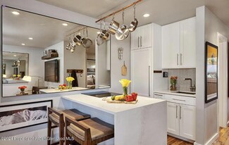 700 W Hopkins Ave Unit 8, Aspen, CO 81611