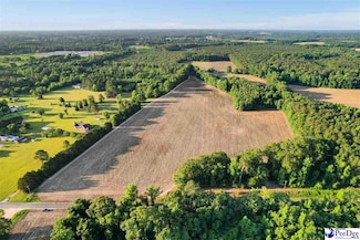 Lot 2 TBD Windham Town Rd, Lamar, SC 29069