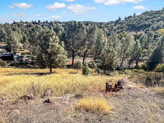 10203 El Capitan Way, Kelseyville, CA 95451