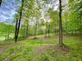 0 Green Valley Rd Unit 10159339, Bridgeport, WV 26330