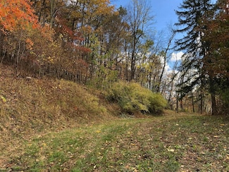 TBD Jones Ln, Saint George, WV 26287