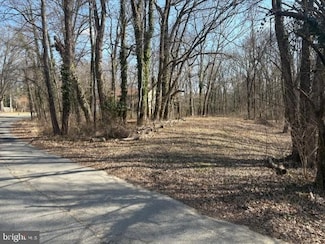 8119 Stacey Rd, Alexandria, VA 22308