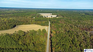TBD I M Graham Rd, Cades, SC 29518