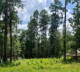 10820 Royal York Dr, Conroe, TX 77303