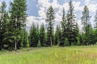 510 Haskill Ranch Rd, Kila, MT 59920