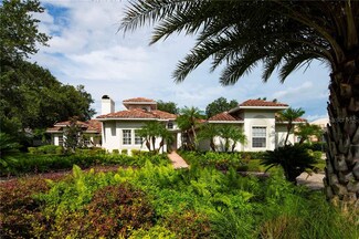 16311 Millan de Avila, Tampa, FL 33613