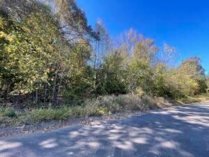 Lot C Valentina, Clarksville, AR 72830