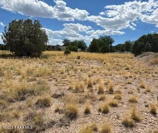 2685 W Quail View Loop, Chino Valley, AZ 86323