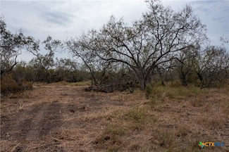 TBD McCampbell - Tract F, Goliad, TX 77963