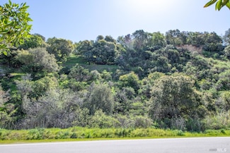 110 Sunny Oaks Dr, San Rafael, CA 94903