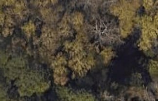 3927 Mack Rd, Augusta, GA 30907