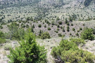 TBD Red Wing Lode Ms 3180 & Elgin Lode Ms 3181, Radersburg, MT 59641