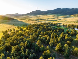 2299 County Road 328, Westcliffe, CO 81252