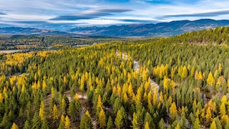 284 Garland Ln, Whitefish, MT 59937