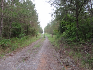 0 Butler Branch Rd, Arley, AL 35541
