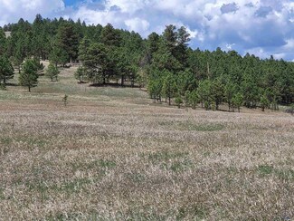 tbd Lh Rd Unit Tract 20BR, Fairburn, SD 57738