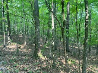 Lt 51,53 Squirrel Hunting Rd, Ellijay, GA 30536