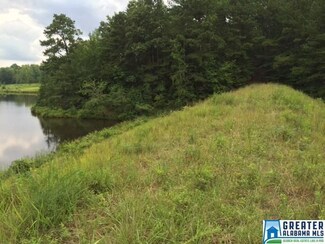 0 Driggers Rd Unit 33 758966, Lineville, AL 36266