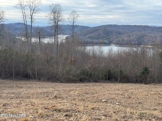 0 Lot 35 Hickory Pointe Ln Unit 1305582, Maynardville, TN 37807