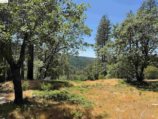 0000 Forest Service Road 3n50, Sonora, CA 95370