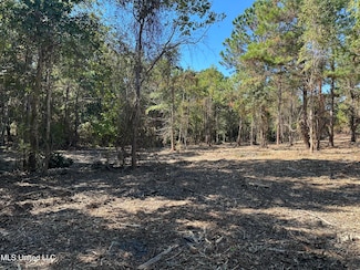 0 East St, Waveland, MS 39576