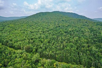 000 Lamotte, Guildhall, VT 05905