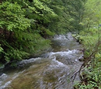 1004 Camp Scott Rd, Sutton, WV 26601
