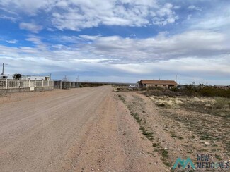 XXX W Buena Vista Ave, Columbus, NM 88029