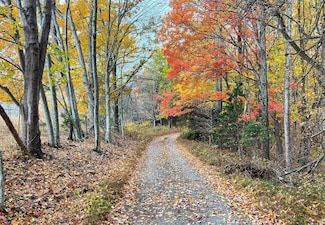 305 County Line Rd, Buchanan, VA 24066