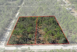 00 Norway St, Webster, FL 33597