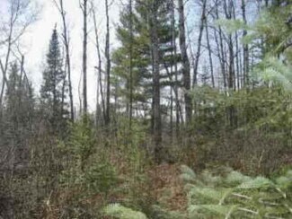 LOT 7 Weber Lake Dr, Mercer, WI 54547