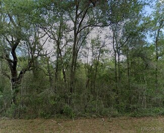 829 E Abend Dr, Citrus Springs, FL 34434