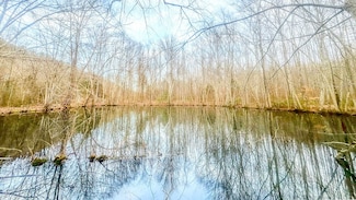 0 Johnson Mill Branch Rd, Lutts, TN 38452