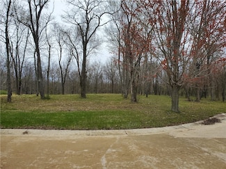 1250 Silver Leaf Ct, Mount Zion, IL 62549