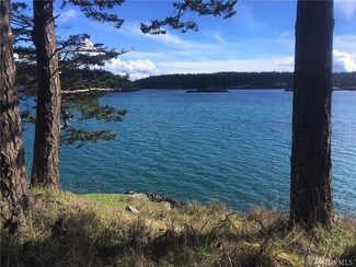 47 Chinook Way, Decatur Island, WA 98221