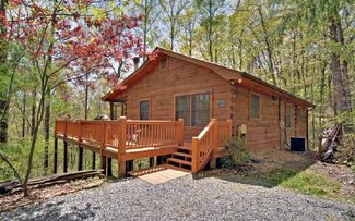 688 Little Bushy Head Rd, Cherry Log, GA 30522