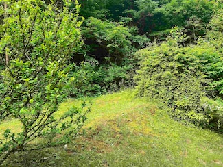6798 Little Sandy Rd, Frame, WV 25071